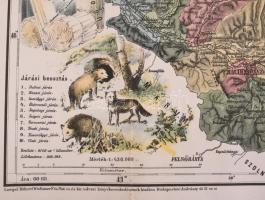 Máramaros vármegye közigazgatási térképe. Rajz.: Hátsek Ignác. 1:500000, Lampel, Litográfia 53x36 cm...