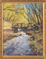 Merza jelzéssel: Patak. Olaj, vászon. Fakeretben, 27×20 cm