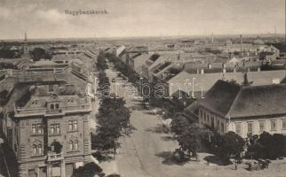 Nagybecskerek with synagogue (EK)