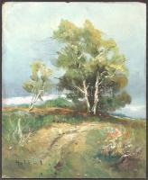 Olvashatatlan (Lukács L.?) jelzéssel: Virágba borult táj. Olaj, karton, szélén kissé sérült. 27×22 cm
