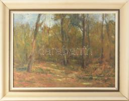 Pogonyi Tibor (1974-): Erdőrészlet. Olaj, farost, jelzett. Dekoratív fakeretben. 40×54 cm