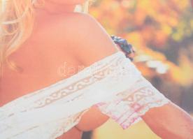 Tradicionális Bikavér készítés titka. Erotikus-humoros plakát, feltehetően egyedi összeállítás. Plex...