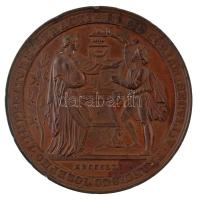 Ausztria 1865. "Bécsi Egyetem 500. évfordulója" bronz, vert, kétoldalas emlékérem "VNIVERSITAS LITTERARVM VINDOBONENSIS CONDITA A RVDOLPHO IV / IN MEMORIAM SECVLI V FRANCISCO IOSEPHO I IMPERATORE". Szign.: Carl Radnitzky (79mm) T:XF több ph. / Austria 1865. "500th Anniversary of Vienna University" bronze, struck, double-sided commemorative medal Sign.: Carl Radnitzky (79mm) C:XF edge errors