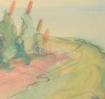 Cselényi Walleshausen Zsigmond (1887-1978): Balaton, 1926. Akvarell, papír, Jelzett. 37x28 cm. Üvege...