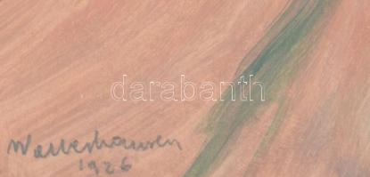 Cselényi Walleshausen Zsigmond (1887-1978): Balaton, 1926. Akvarell, papír, Jelzett. 37x28 cm. Üvege...