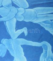 Blaha, Jan (1961-): Prety river. Mezzotinto, papír, Jelzett. 78x49,5 cm