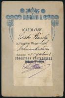 1915 Bp., Csató Károly a "Független Magyarország" munkatársa, keményhátú fotó igazolványké...