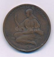 Berán Lajos (1882-1943) 1925. "Jókai Mór 1825 - 1925 / A nagy mesemondónak hálás nemzete" ...