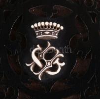 Cseh és lengyel grófi család fotóalbum 25 db korai keményhátú fotóval (Herberstein és Ptah család ta...