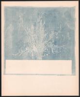 Gross Arnold (1929-2015): Cím nélkül (Játékvonathoz hasonlító ábrázolás). Rézkarc, papír, jelzett a karcon, fázisnyomat, próbanyomat, 19x20 cm.