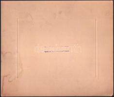 cca 1910-1920 Tisztek csoportképe, kartonra kasírozott fotó Schäffer budapesti műterméből, kartonon ...