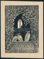 Novotny R jelzéssel: Ex libris Doctoris Ludovici Schilling, klisé, papír. 12x8,5 cm