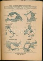1928 Igazságot Magyarországnak! Trianon kegyetlen tévedései. A Pesti Hírlap ötvenéves fennállása alk...
