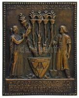 Tóth Gyula (1893-1970) 1921. "Iparművészeti Érdemekért - Az Országos Magyar Iparművészeti Társulat" egyoldalas bronz érdemplakett (73x88mm) T:AU,XF patina HP 6283