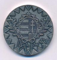 1996-1999. "Magyar Honvédség parancsnoka, vezérkari főnök" kétoldalas fém emlékérem, hátol...