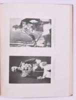 Pilch Jenő (szerk.): A világháború története. József királyi herceg tábornagy úr őfensége előszaváva...