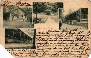 1905 Gnézda, Gnazdy, Gnazdá, Kniesen, Hniezdne; fürdő épületek és pavilon / spa, bath, buildings and pavilion (EM)