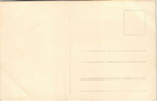 Fogaras, Fagaras; Olt áradása, árvíz / flood. photo