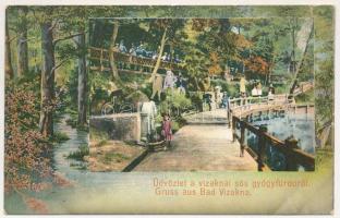 1909 Vízakna, Salzburg, Ocna Sibiului; sós gyógyfürdő, forrás. Takáts Jenő kiadása / salt baths, spa, spring source. Art Nouveua forest frame (szakadás / tear)