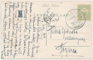 1909 Vízakna, Salzburg, Ocna Sibiului; sós gyógyfürdő, forrás. Takáts Jenő kiadása / salt baths, spa...