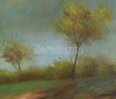 Zubor Rezső (?-?), működött a XX. sz. első felében: Pipázó vándor. Olaj, vászon, Jelzett. Dekoratív ...