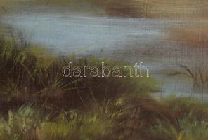 Zubor Rezső (?-?), működött a XX. sz. első felében: Pipázó vándor. Olaj, vászon, Jelzett. Dekoratív ...