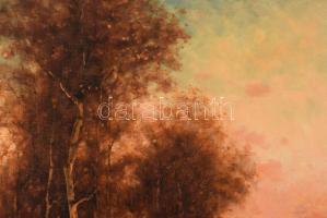 Olvashatatlan jelzéssel (Újházy Ferenc?): Naplemente. Olaj, vászon. Dekoratív fakeretben. 50x60 cm