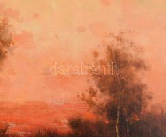 Olvashatatlan jelzéssel (Újházy Ferenc?): Naplemente. Olaj, vászon. Dekoratív fakeretben. 50x60 cm