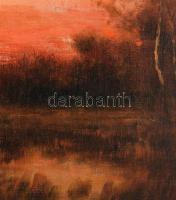 Olvashatatlan jelzéssel (Újházy Ferenc?): Naplemente. Olaj, vászon. Dekoratív fakeretben. 50x60 cm