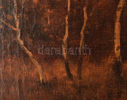 Olvashatatlan jelzéssel (Újházy Ferenc?): Naplemente. Olaj, vászon. Dekoratív fakeretben. 50x60 cm