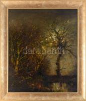 Olvashatatlan jelzéssel (Kasznár Ring Jenő?): Holdfényes táj. Olaj, fa. Dekoratív fakeretben. 59x50 cm