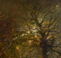 Olvashatatlan jelzéssel (Kasznár Ring Jenő?): Holdfényes táj. Olaj, fa. Dekoratív fakeretben. 59x50 ...