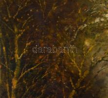 Olvashatatlan jelzéssel (Kasznár Ring Jenő?): Holdfényes táj. Olaj, fa. Dekoratív fakeretben. 59x50 ...