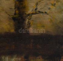 Olvashatatlan jelzéssel (Kasznár Ring Jenő?): Holdfényes táj. Olaj, fa. Dekoratív fakeretben. 59x50 ...