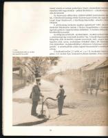 Kutas István: Egy évszázad erőfeszítései fővárosunk köztisztaságáért. 1895-1995. [Bp., 1995], Főváro...