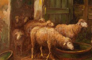 Kovács József (1948-): Báránykák. Olaj, farost, jelzett, dekoratív fakeretben, 40x60 cm