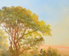 Kovács József (1948-): Kőhíd. Olaj, farost, jelzett, fakeretben, 40x60 cm