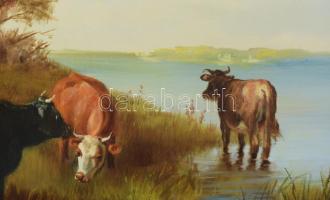 Madarász Gábor (1964-): Tehénitatás. Olaj, farost. Jelzett. Dekoratív fakeretben. 40x50 cm