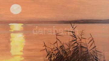 Péntek Éva (-): Aranyhíd. Olaj, farost, jelzett, fakeretben, 40×60 cm