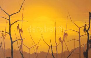 M. Molnár István (1953-2009): Esti köd. Olaj, farost, jelzett, fakeretben, 43×32 cm