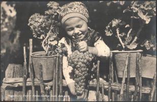 ca 1940 Szőlőt szüretelő kislány - Pompás csemege nagy méretű turisztikai fotó, eredeti nagyítás, eredeti kézi feliratozással 40x25 cm