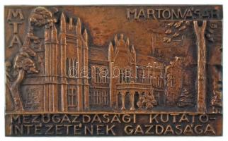 Lajos József (1936-) DN "MTA - Martonvásár - Mezőgazdasági Kutatóintézetének Gazdasága" egyoldalas, öntött bronz plakett, hátoldalon névre szóló gravírozással (80x133mm) T:AU