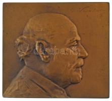 Murányi Gyula (1881-1920) 1909. "Vámbéry Ármin" orientalista, egyetemi tanár, a Magyar Tudományos Akadémia tagja bronz plakett (53,5x60mm) T:AU,XF Hungary 1909. "Ármin Vámbéry" orientalist, professor, member of the Hungarian Academy of Sciences bronze plaque. Sign.: Gyula Murányi (53,5x60mm) C:AU,XF HP 3690.