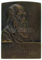 Sződy Szilárd (1878-1939) 1910. "Charles Darwin 1809-1882" egyoldalas Br plakett, hátoldalán "B.S.W. (Bruder Schneider Wien)" gyártói jelzéssel (60x43mm) T:AU,XF Hungary 1910. "Charles Darwin 1809-1882" one-sided Br plaque with "B.S.W. (Bruder Schneider Wien)" maker's mark on reverse. Sign.:Sződy Szilárd (1878-1939) (60x43mm) C:AU,XF