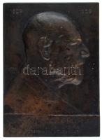 Mátrai Lajos (1875-1966) 1911. "Zichy Nándor grófnak - Fáradhatatlan elnökének a Szent-István Társulat / Quattuor Lustris Praesidi Societas Sti Stephani." bronz emlékplakett (79x57mm) T:AU,XF Hungary 1911. "To count Nándor Zichy the president of the Saint Stephen Company / Quattuor Lustris Praesidi Societas Sti Stephani." bronze commemorative plaque in original case. Sign.: Lajos Mátrai (79x57mm) C:AU,XF HP 3539.