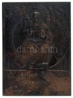 Mátrai Lajos (1875-1966) 1911. "Zichy Nándor grófnak - Fáradhatatlan elnökének a Szent-István T...