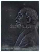 Murányi Gyula (1881-1920) 1916. "A magyar írók nesztorának, a 80 éves Ágainak szeretettel Murányi" Zn plakett (68x53,5mm) T:AU,XF oxidáció Hungary 1916. "To the Nestor of the Hungarian writers, the 80 years old Ágai from Murányi with love" Zn plaque. Sign.: Gyula Murányi (68x53,5mm) C:AU,XF corrosion HP.: 371