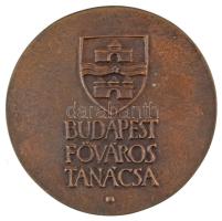 Asszonyi Tamás (1942-) 1986. "Újjáépült A Budai Sikló / Budapest Főváros Tanácsa" kétoldal...