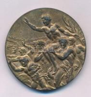 1948. "XIV. nyári Olimpiai Játékok London" aranyozott Zn emlékérem a magyar résztvevők név...