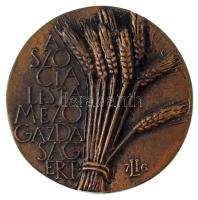1976. "A szocialista mezőgazdaságért" egyoldalas, öntött bronz plakett Szign.:LI (85mm) T:XF patina